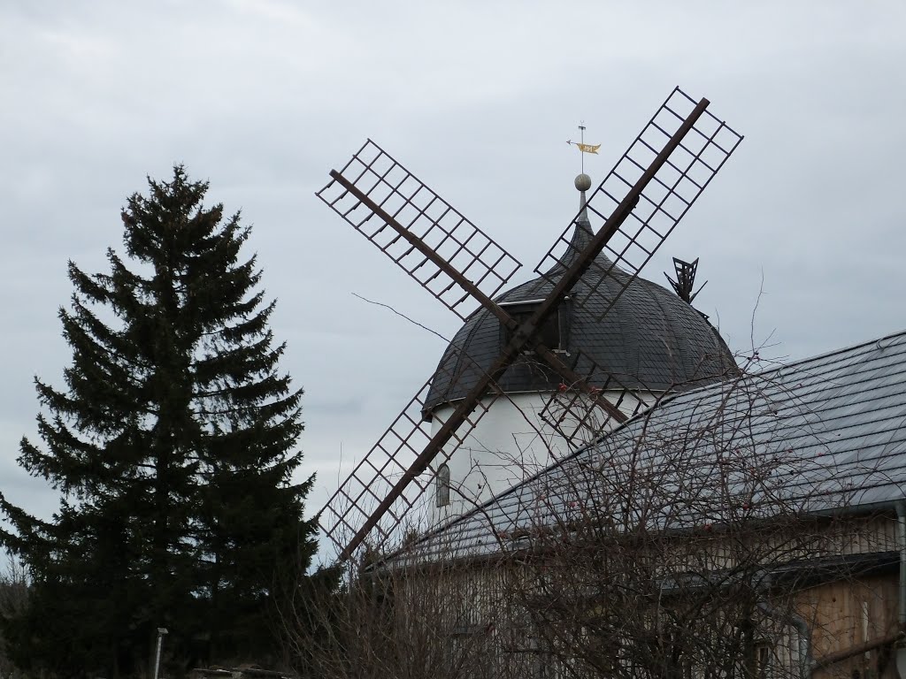 Blick zur Windmühle by Edgar Bär