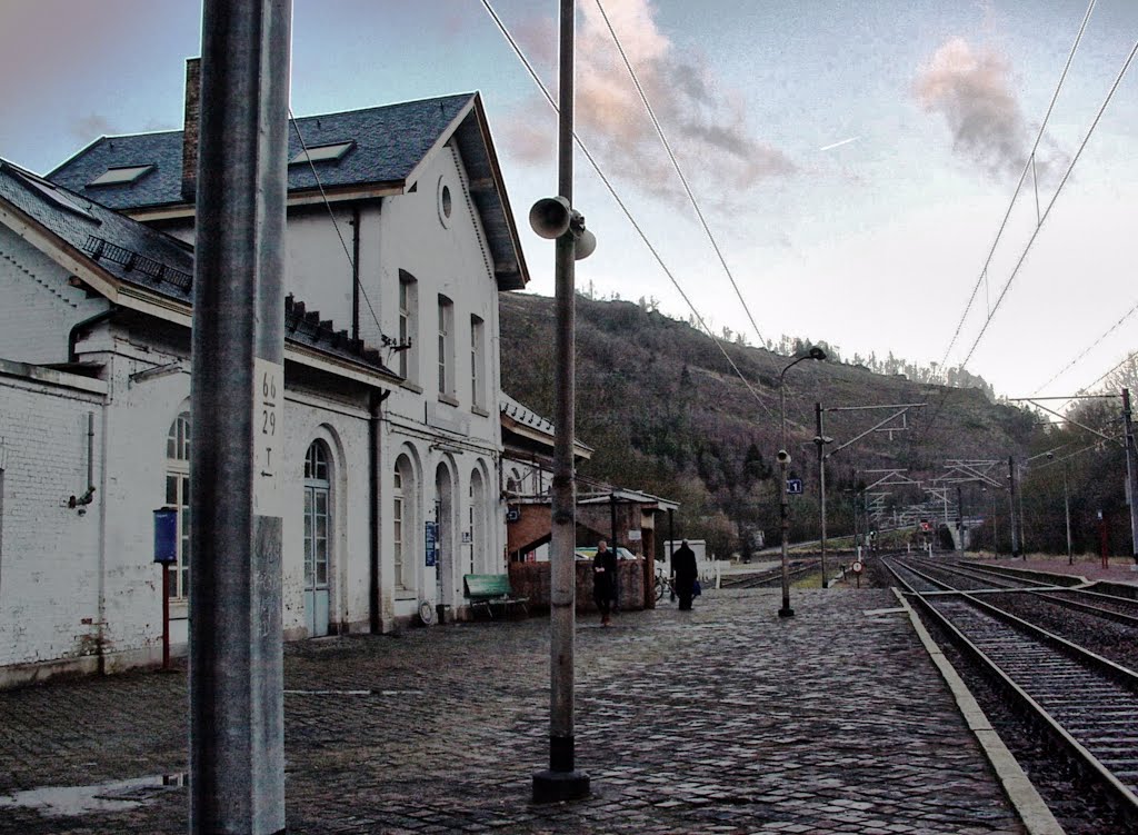 Gare de Vielsalm by Roger Grund