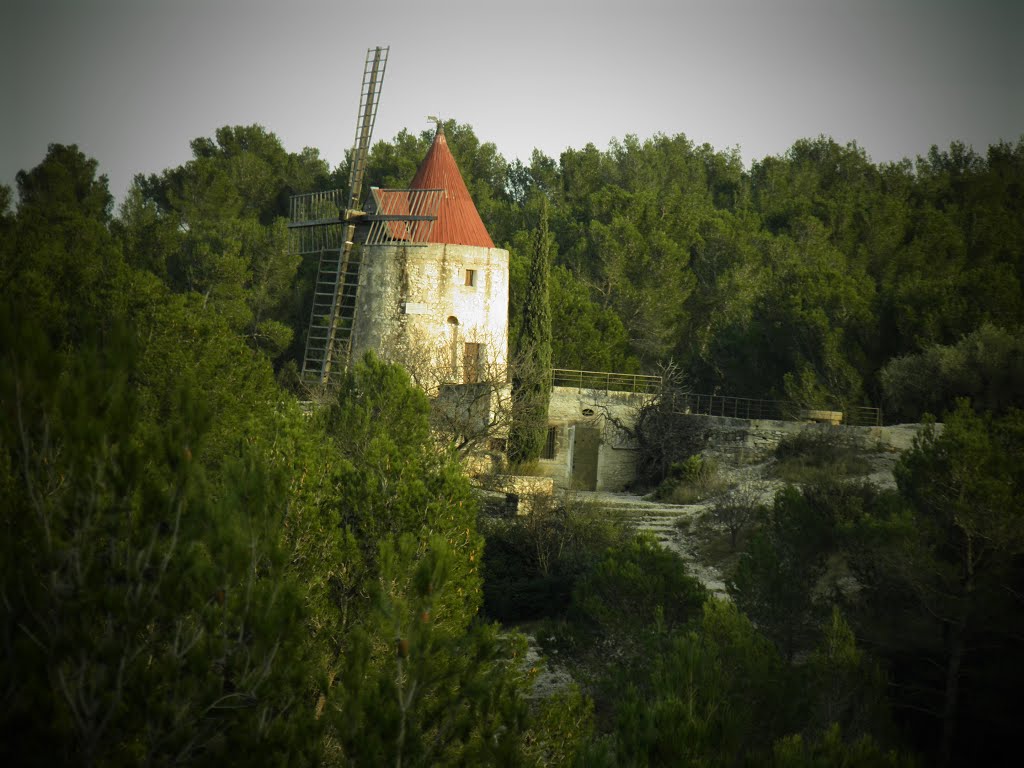 Moulin de Daudet à Fontvieille by Charbela