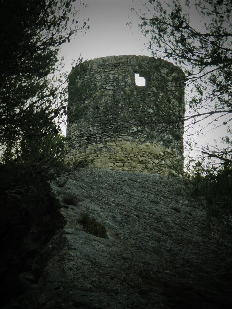 Moulin Sourdon à Fontvieille by Charbela