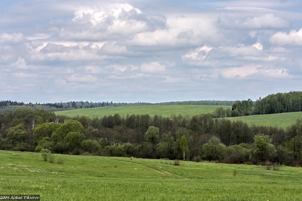 Podolsky District, Moscow Oblast, Russia by Aleksei Viktorov