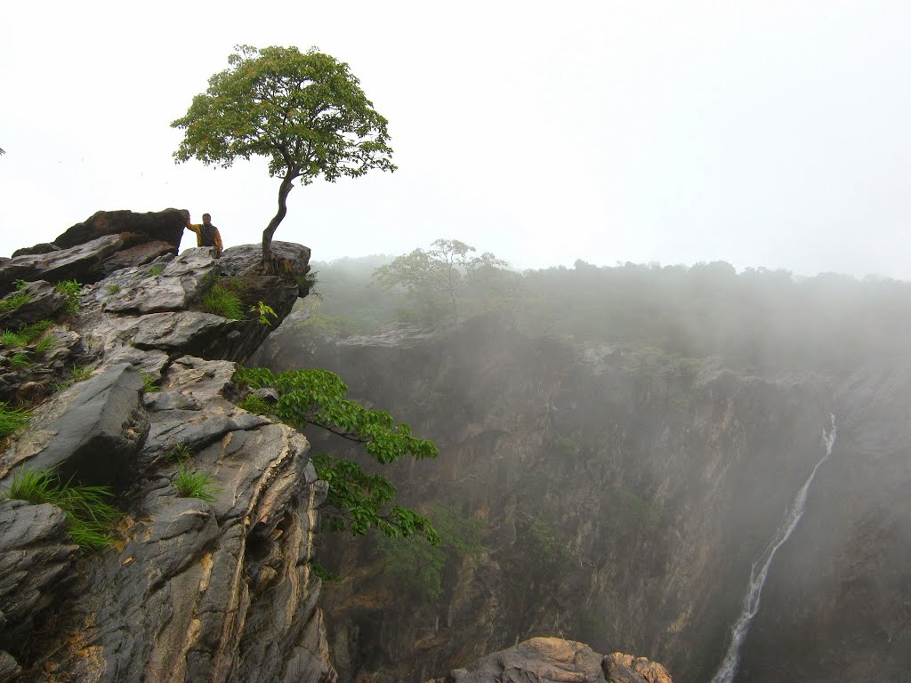 "Tree at the Cliff" @ Jog falls by happyrakesh