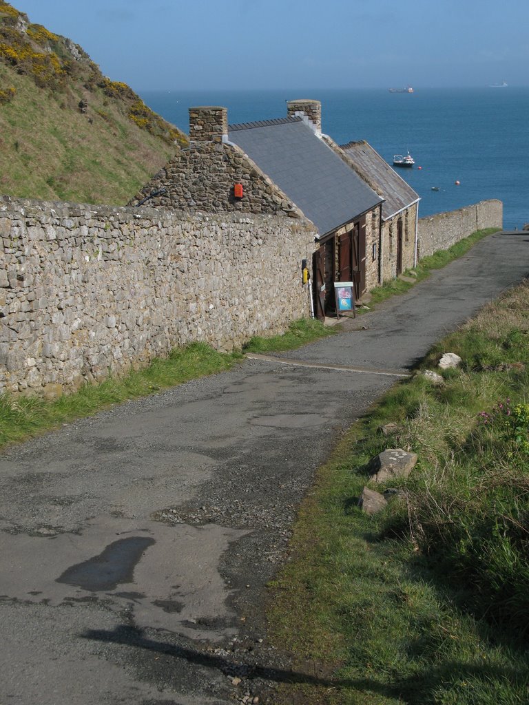 Martins Haven, Pembrokeshire by europe08_ncompass