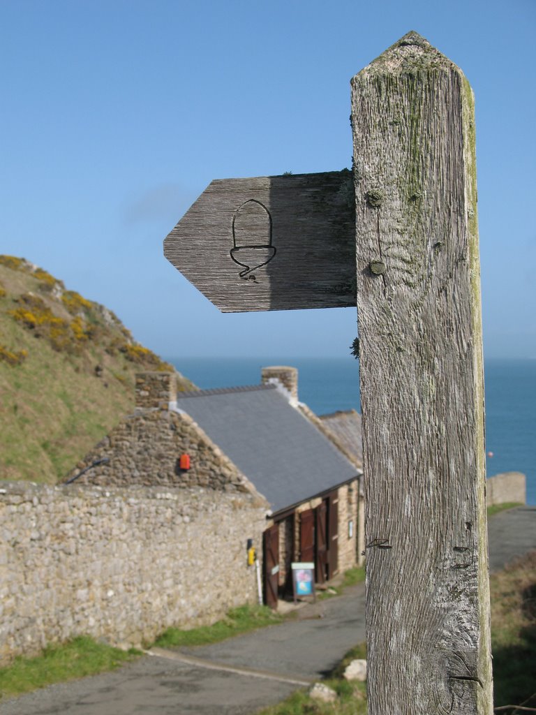 Pembrokeshire Coastal Path by europe08_ncompass