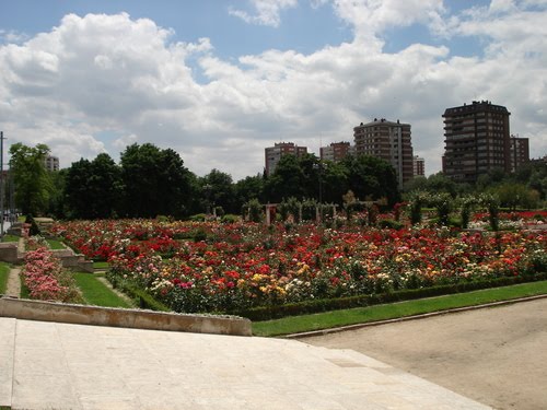 La Rosaleda (1).mgm by Mariano García