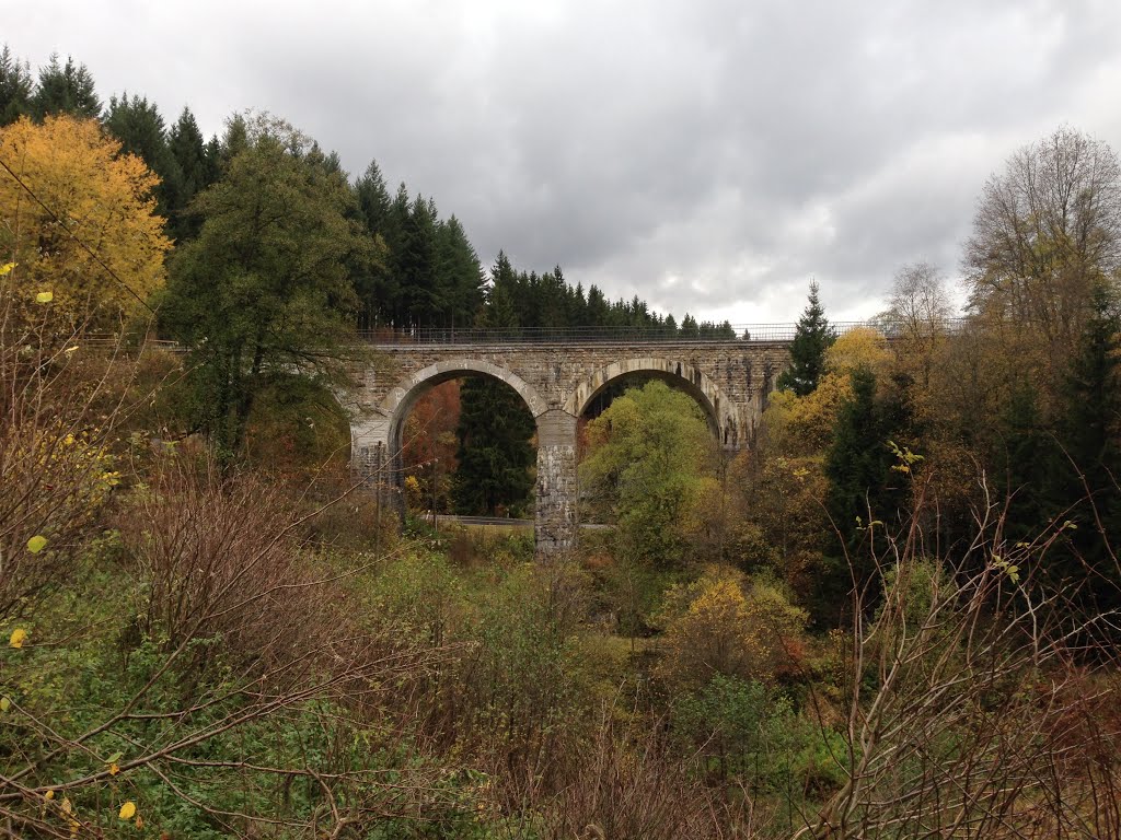 Alte Bahnbrücke by eifelfotomike