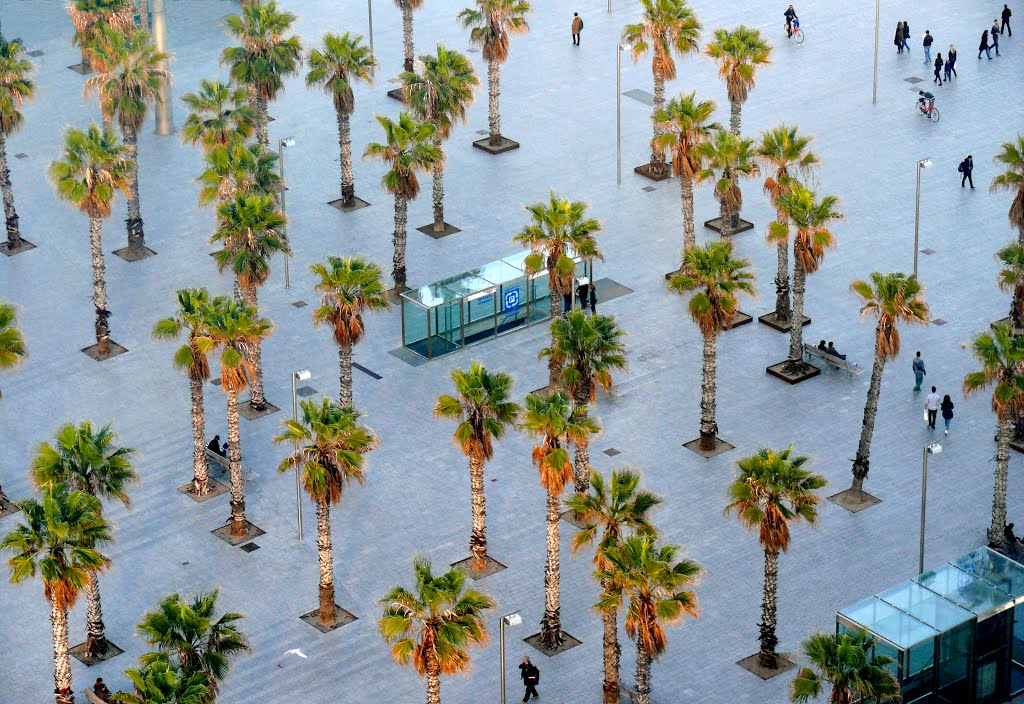 Plaça del Mar - Barcelona by Joan Felip