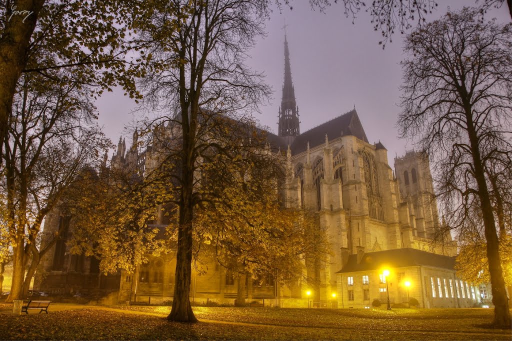 La Cathédrale d'Amiens by Garry Wasikowski