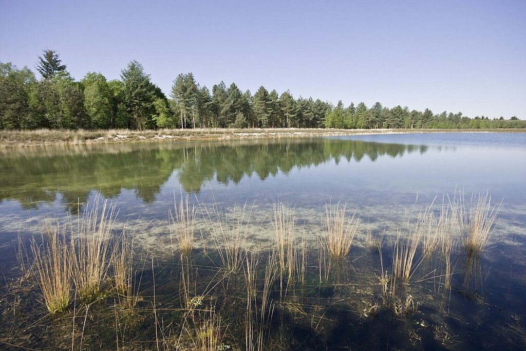 Clear water, Keelven, Somerense Heide, Someren by Wim Janssen