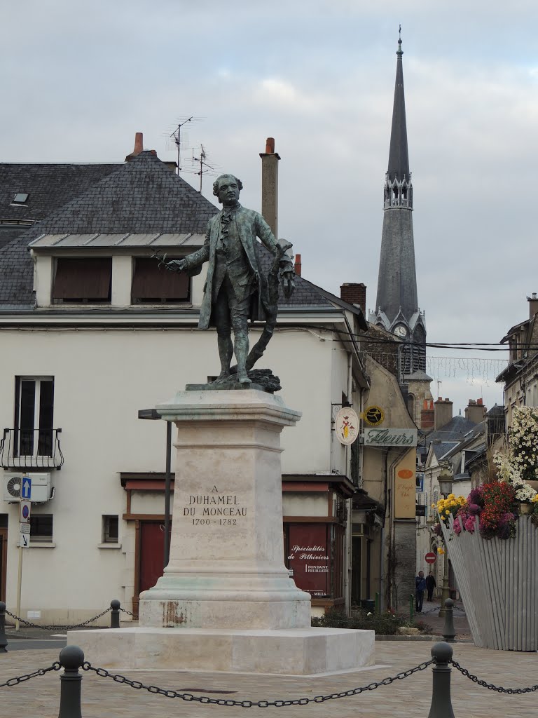 Pithiviers, à Duhamel du Monceau by tofil44