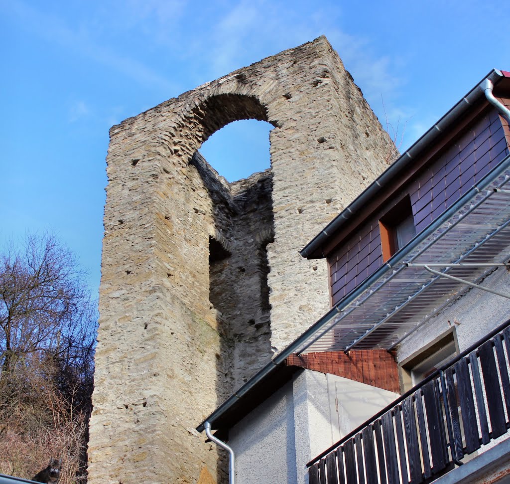 Südturm der Stadtmauer mit Kater by oller rainer