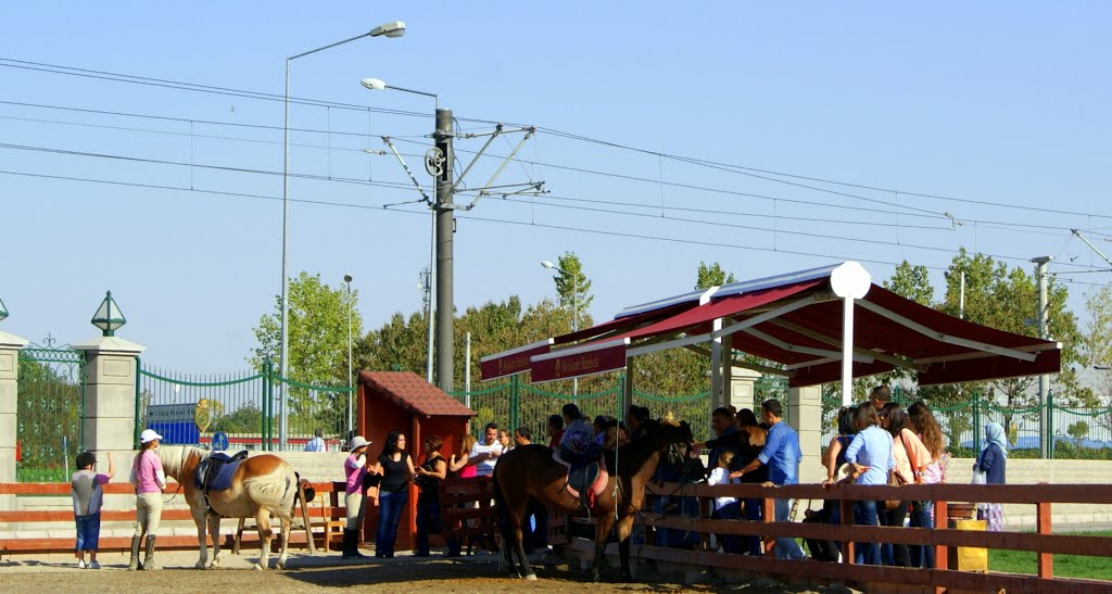 At Merakı by MUSTAFA iLGeN