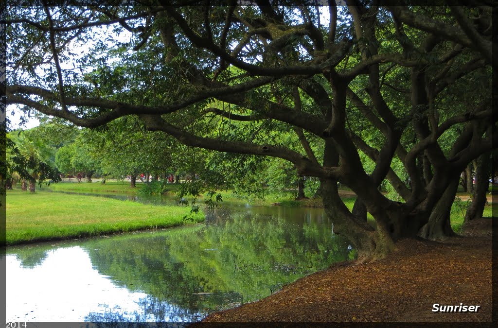 Parque Marinha do Brasil - Porto Alegre Pt.11 • Sunriser by Sunriser ©