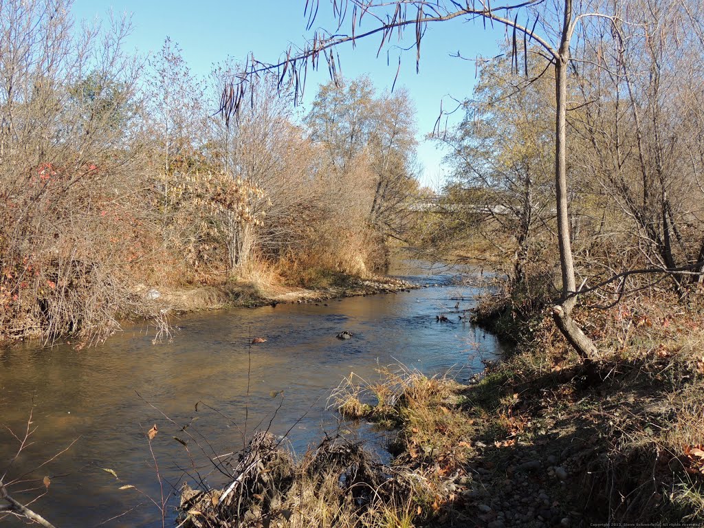 Scrubby Trees along Dry Creek by Steve Schmorleitz, NationalParkLover.com