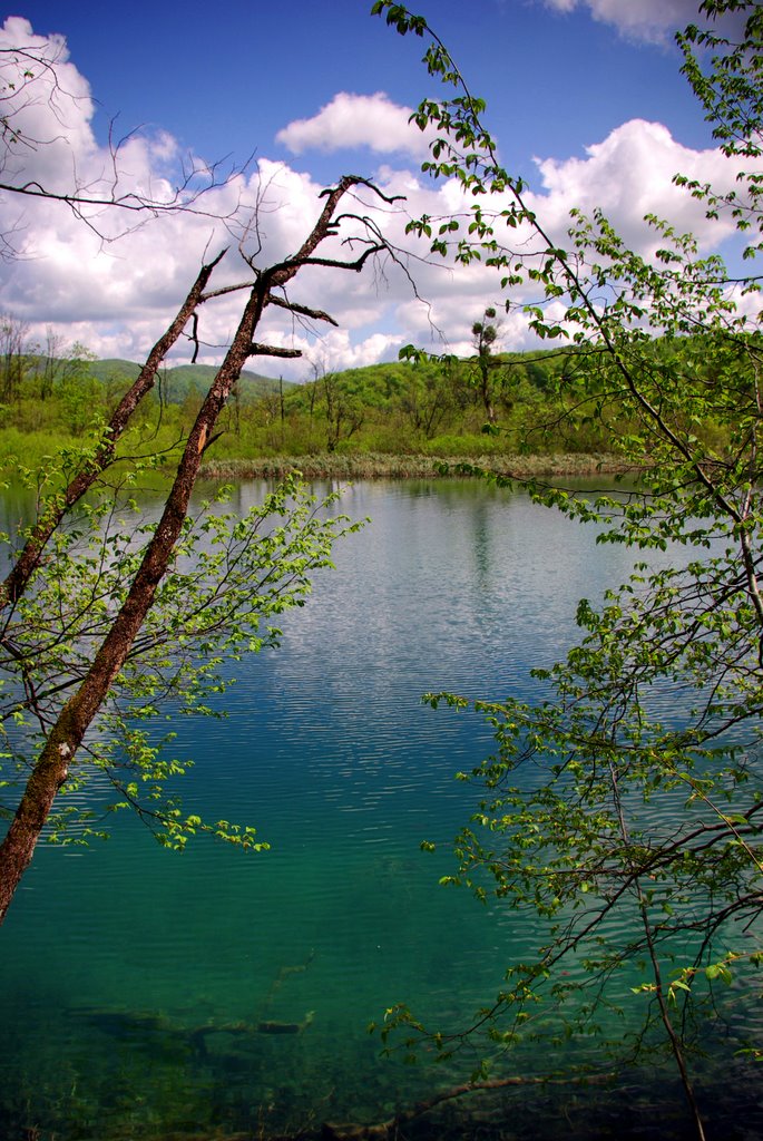 Plitvice Lakes National Park,Croatia by Béla Török