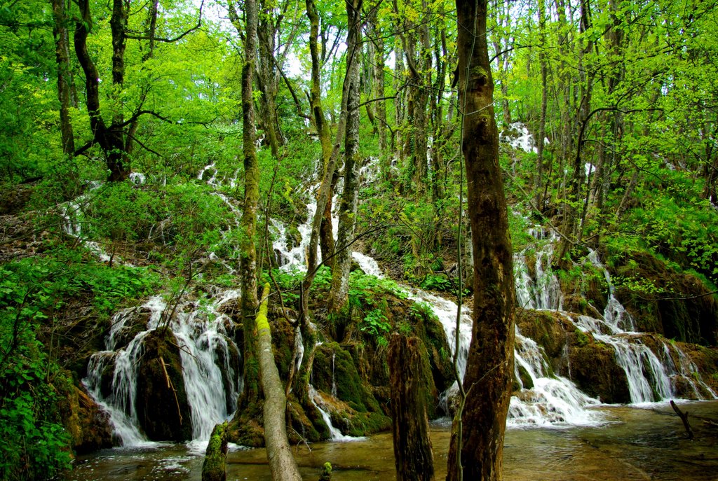 Plitvice Lakes National Park,Croatia by Béla Török