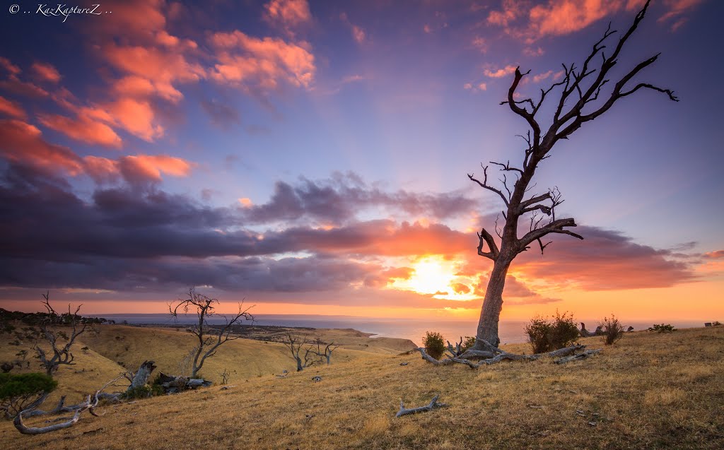 .. Sunset at Cape Jervis .. S.A. by KazKapturez