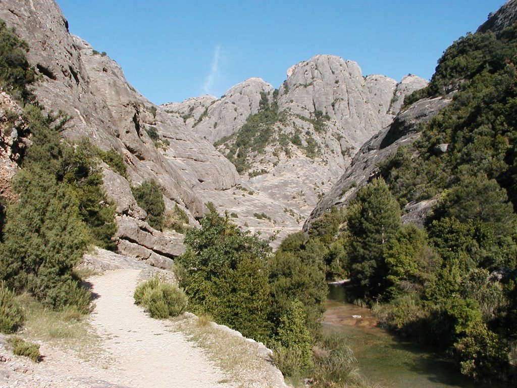 Els estrets de Arnes by Gustavo Llobet