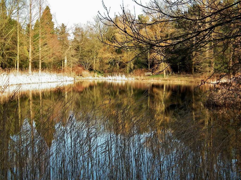 Impressie Von Gimborn arboretum Doorn. by GerdaM.