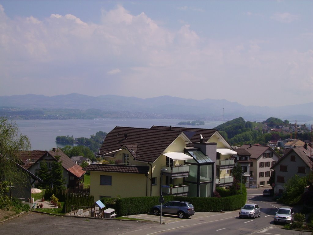 Wollerau, Blick zum Zürichsee by saschafuchs