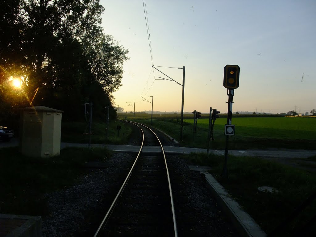 Ubstadt-Weiher, die Bahn nach Menzingen verlässt den Haltepunkt Ubstadt Salzbrunnenstraße. 2.10.2013 by RDZfds