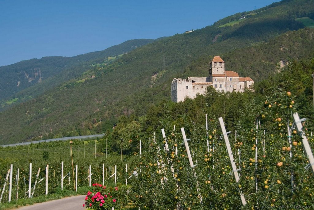 Dornsberg Castle (near Naturns, BZ) by Wolfgang Saumweber