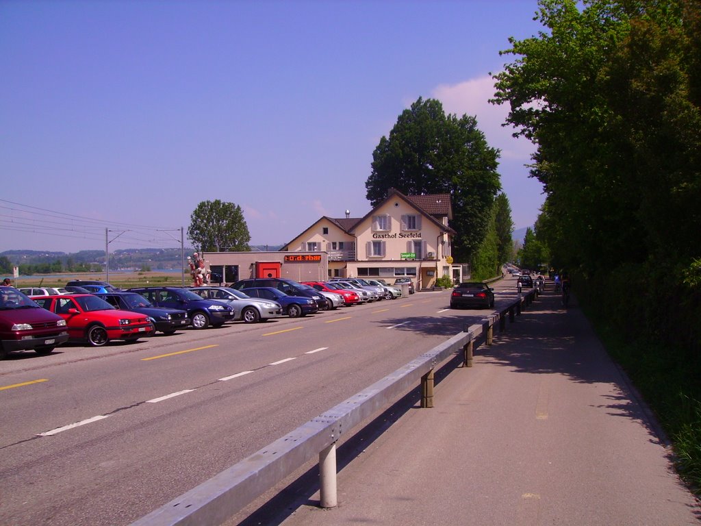 Seedammstrasse und Gashof Seefeld by saschafuchs