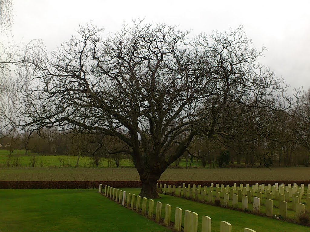 Ecoivres Military Cemetery by Bourdon Jérémy