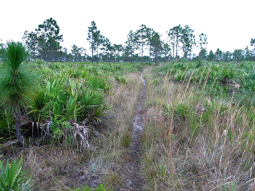 Trail Looks Animal Worn by Tom Choma