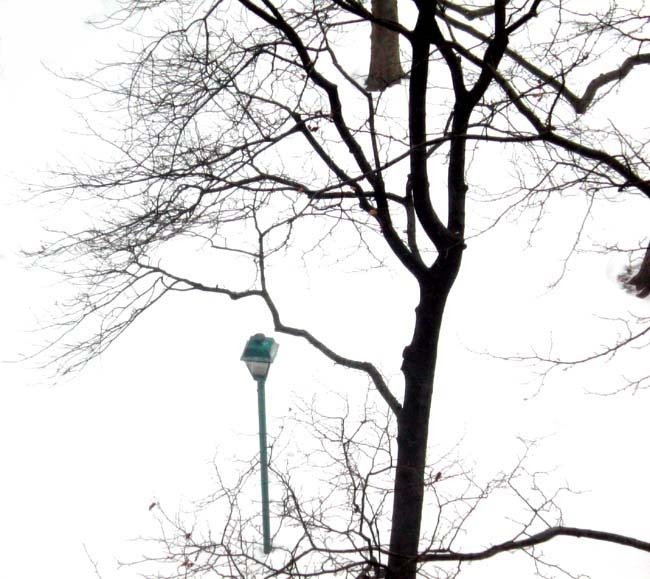 Snow and Street-Lamp: Stuyvesant Town, New York City by LuciaM