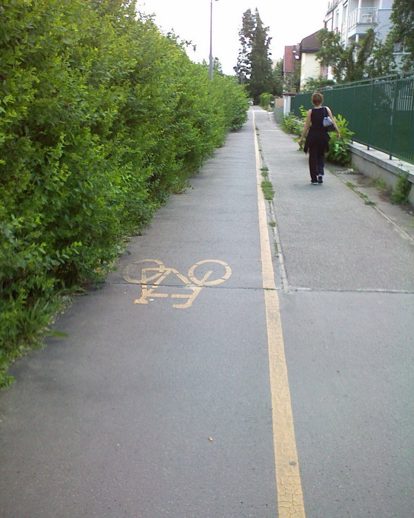 Cycle track by József Tinn