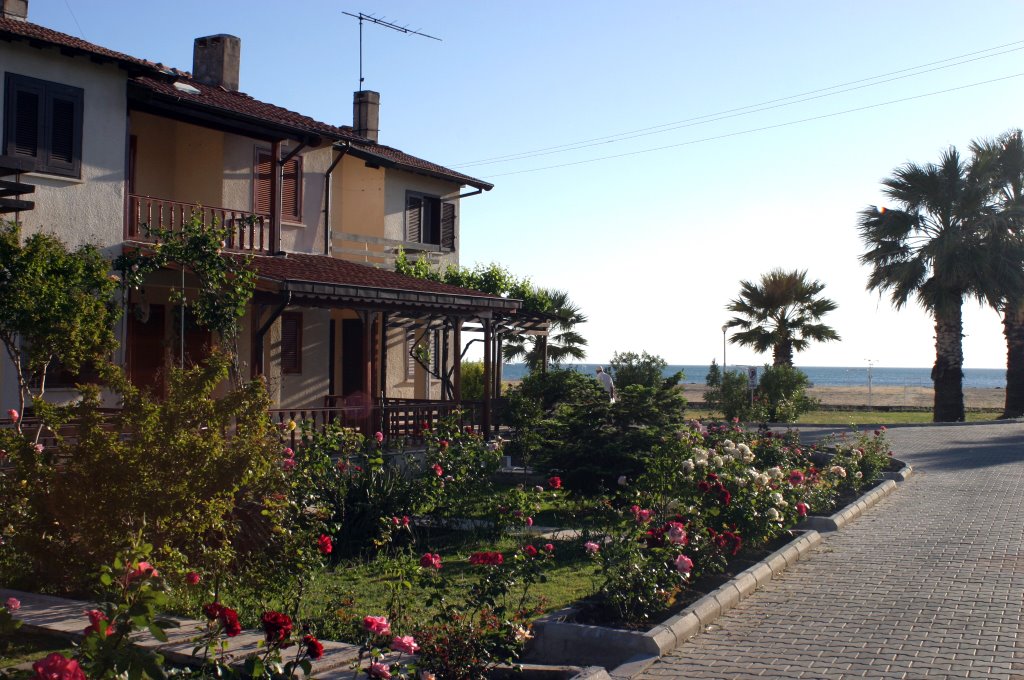 Bahçelievler, 10700 Burhaniye/Balıkesir, Turkey by canakyurek