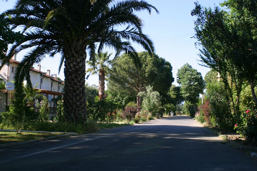 Bahçelievler, 10700 Burhaniye/Balıkesir, Turkey by canakyurek