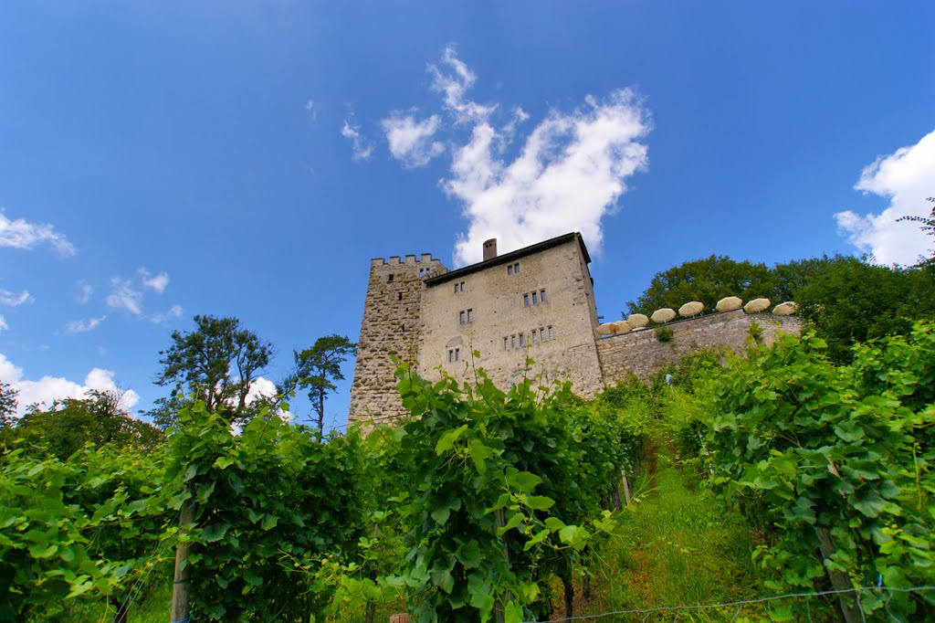 Schloss Habsburg, Kanton Aargau, Schweiz by Golinski Janusch