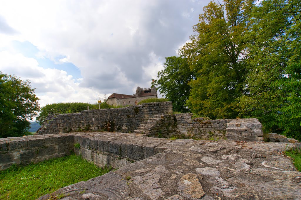 Schloss Habsburg, Kanton Aargau, Schweiz by Golinski Janusch