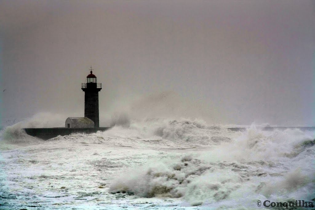 Medo do Mar - Afraid of the Sea 2014 (BY CONQUILHA) by Conquilha