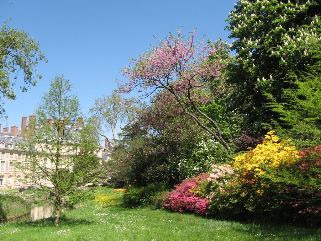 May 11, 2008 Fontainebleau, France by Dmitry Buch