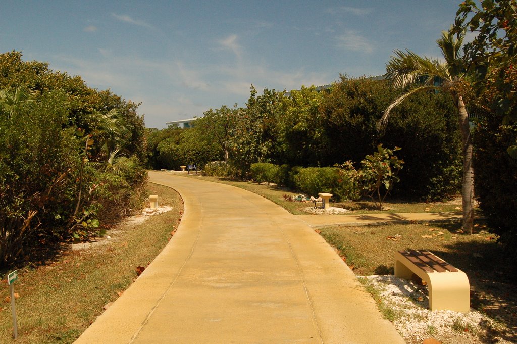 Unnamed Road, Cuba by Eric Marshall