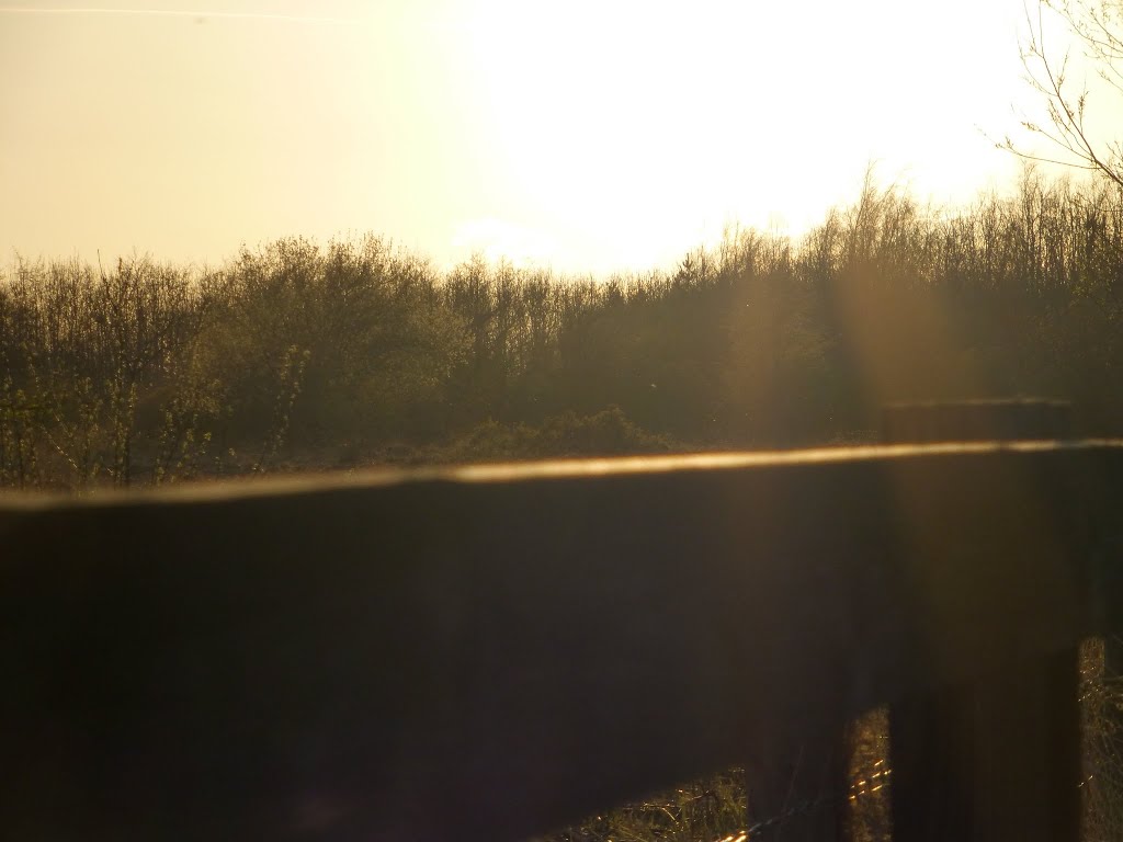 Sunset over Killinghall Moor by pentala