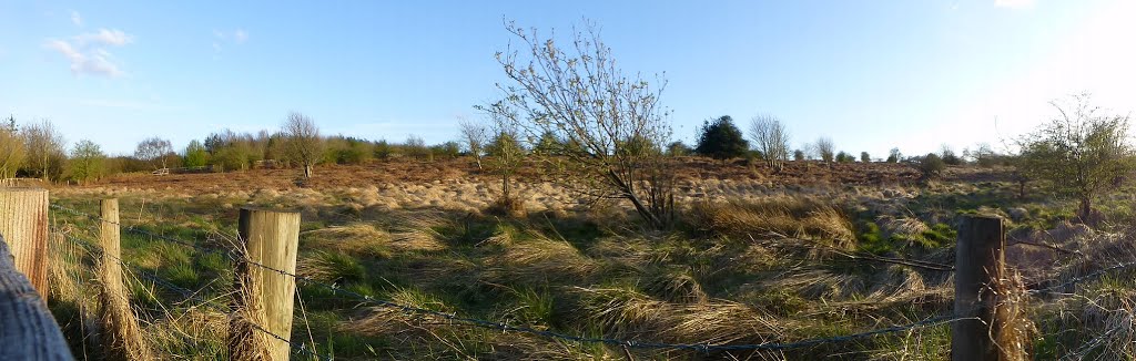 Killinghall Moor by pentala