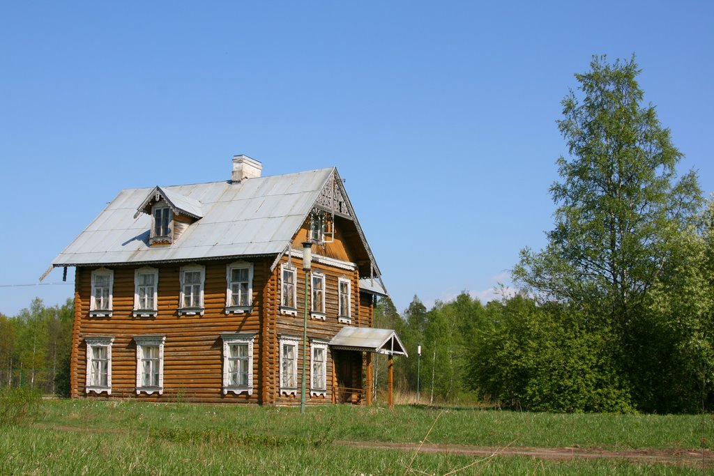 Хорошо иметь домик в деревне! Oranienbaum The house in village by Денис Никитин