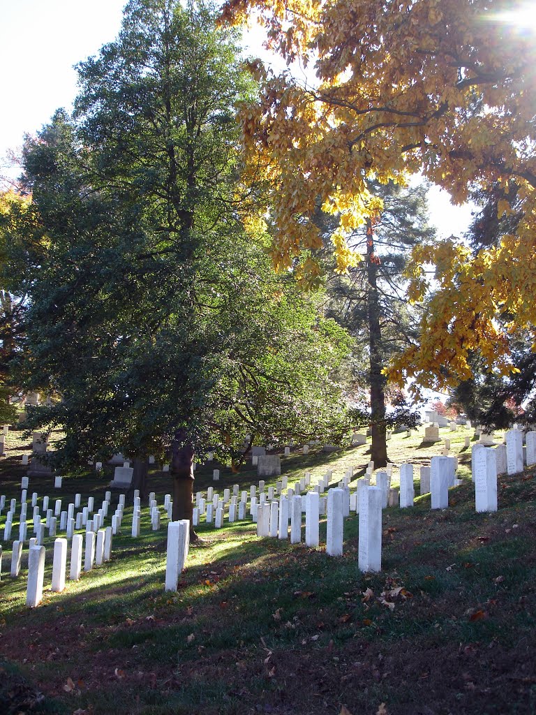 Arlington National Cemetery by Edjib