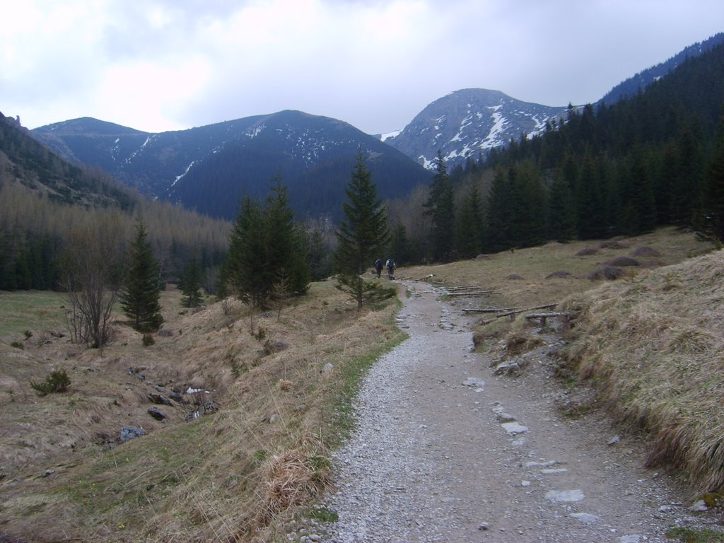 Tatry Dolina Jaworzynki by Maciekkawecki