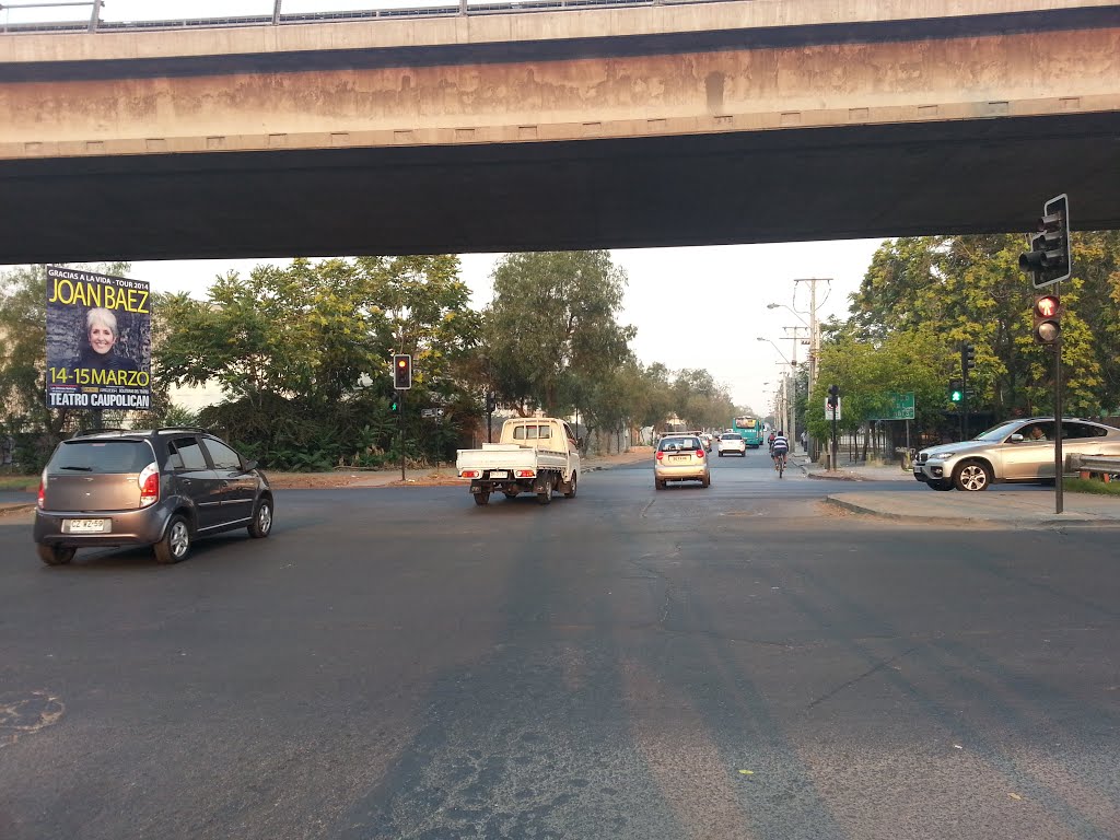 Cruce Rodrigo de Araya con Vicuña Mackenna by Martín Guzmán Henríquez