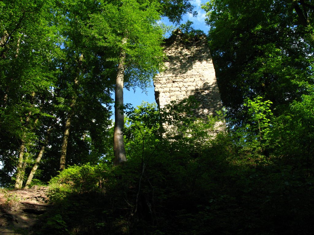 Ruin 'Kargegg' / Marienschlucht (view from the west) by parus.major