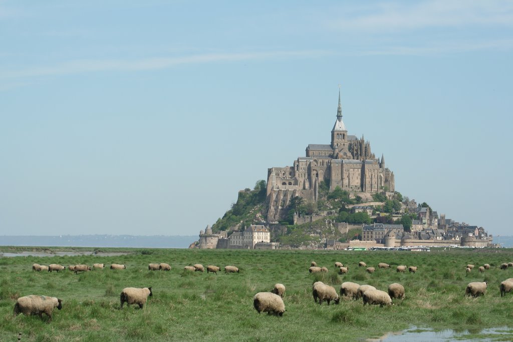 Mont-Saint-Michel and sheeps by karel(tje)