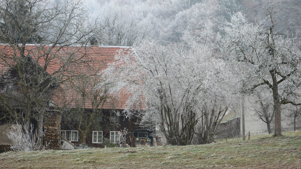 Bauernhaus, Oberdorf/Wikon LU by Werner Hense