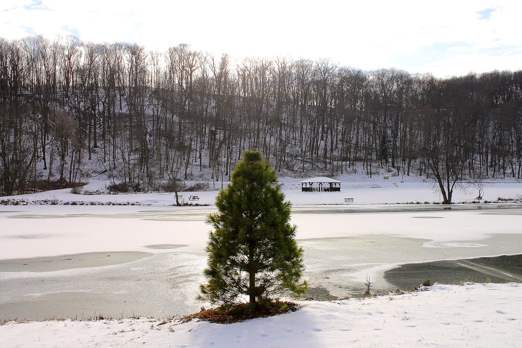 North Park Lake-Pittsburgh by agustin mantilla