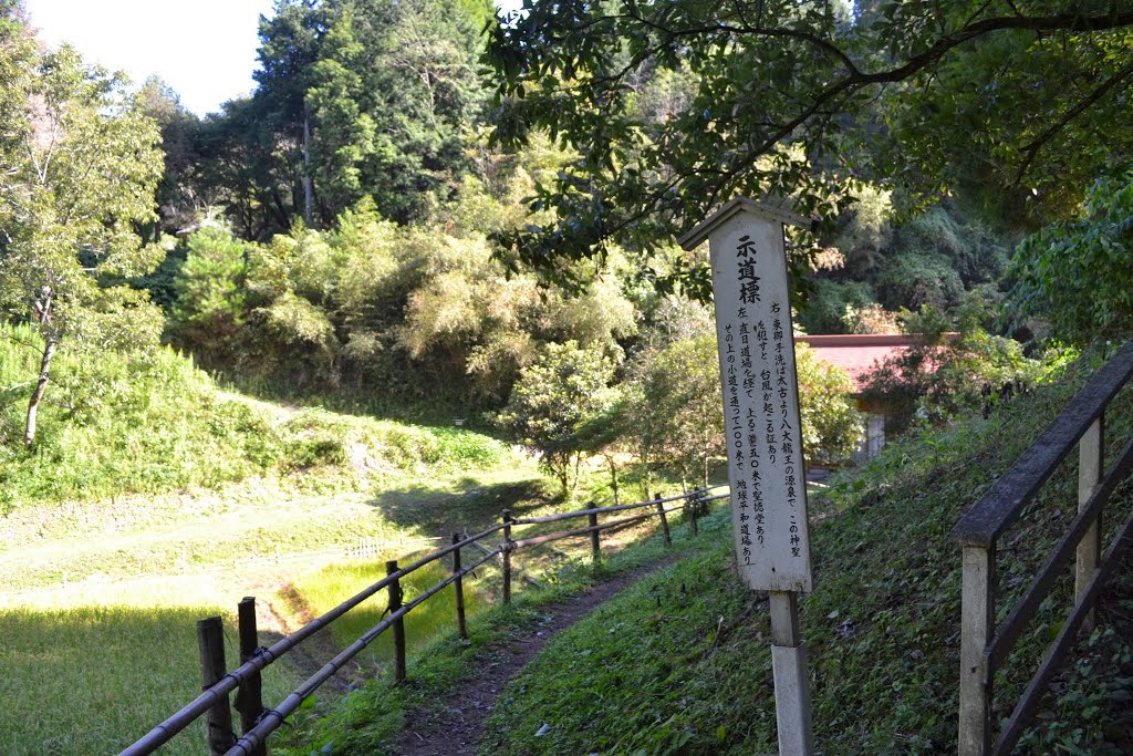 Heitate Jingu Shrine, Yamato Town, Kumamoto 幣立神宮, 熊本・山都町 by Katsumi Yokoyama