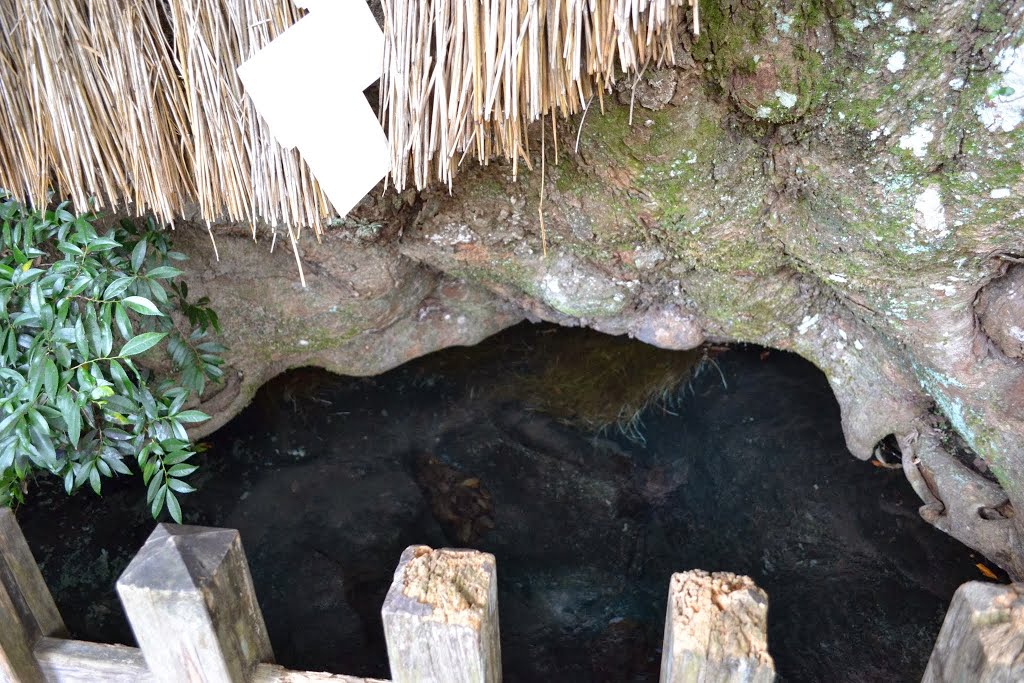 Amanomanai, Takachiho Town, Miyazaki 天真名井, 宮崎・高千穂町 by Katsumi Yokoyama